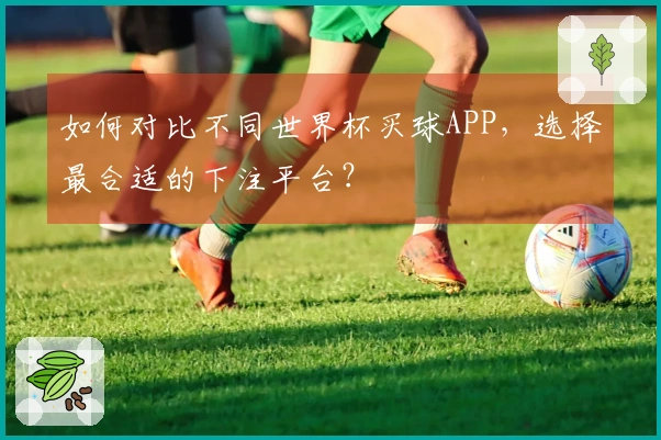 如何对比不同世界杯买球APP，选择最合适的下注平台？