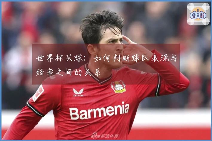 世界杯买球：如何判断球队表现与赔率之间的关系
