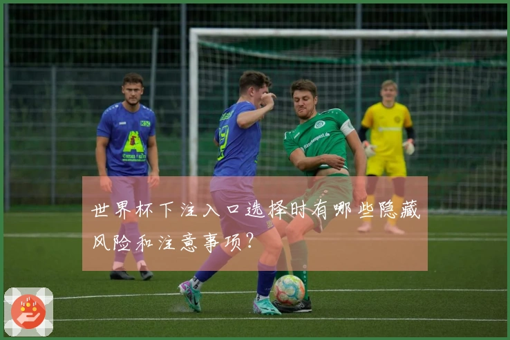 世界杯下注入口选择时有哪些隐藏风险和注意事项？