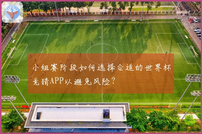 小组赛阶段如何选择合适的世界杯竞猜APP以避免风险？