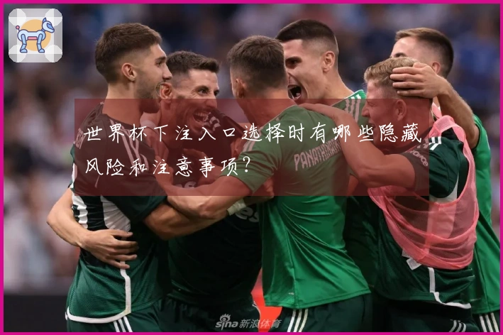 世界杯下注入口选择时有哪些隐藏风险和注意事项?